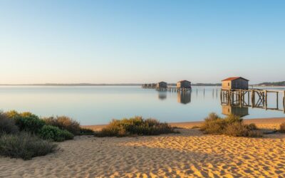 Baignade au Parc naturel : quelle est la température moyenne de l’eau sur le bassin d’Arcachon selon les saisons